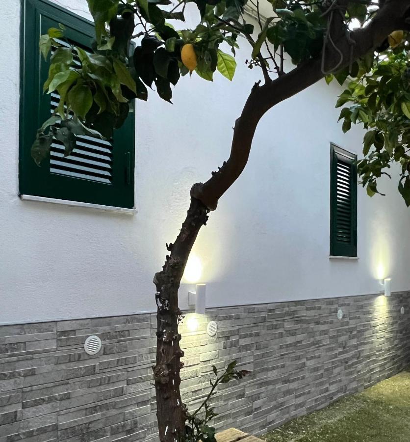 B&B Casa Vacanze Nonna Clara Napoli Dış mekan fotoğraf